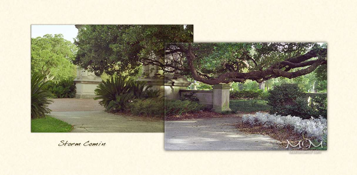 oaks and ferns