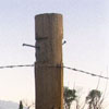 fenceline and mountains