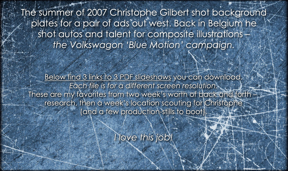 volkswagon blue motion