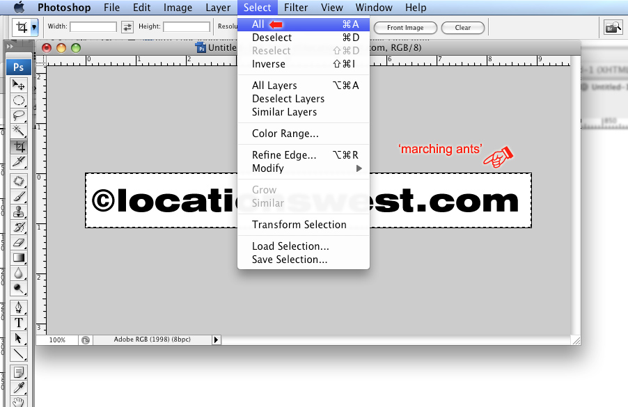 select the entire image
