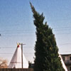 wigwams