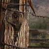 corral