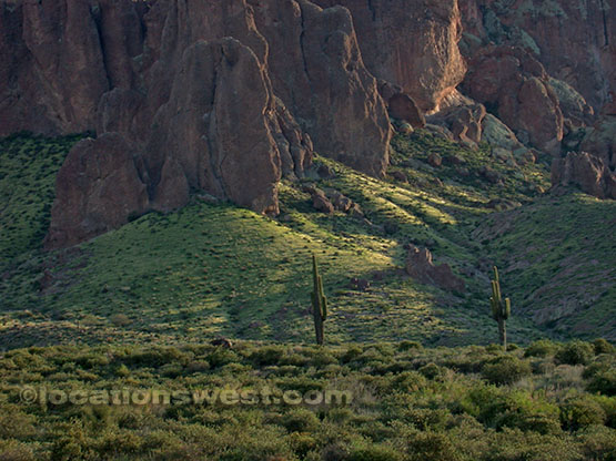 green desert