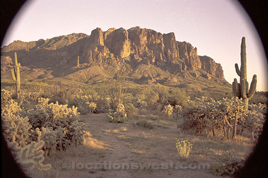 sonoran desert