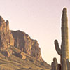 sonoran desert sunset