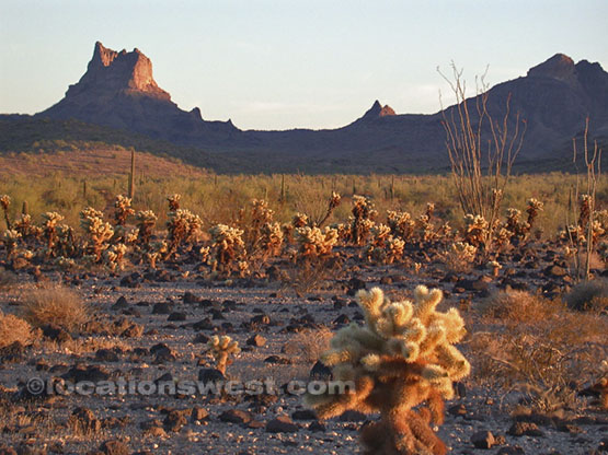 hellish desert