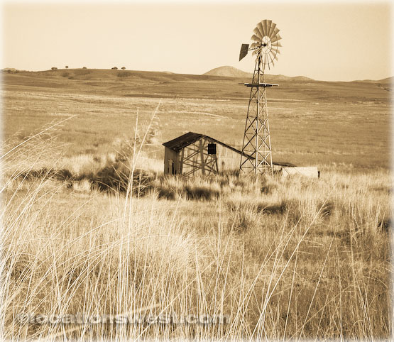 grasslands