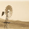 grasslands