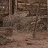 corral