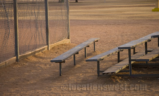 team bench