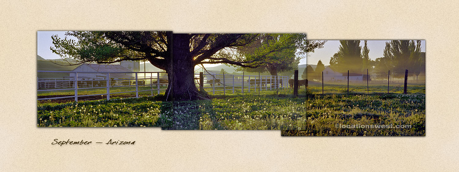 ranch at dawn