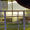 ranch