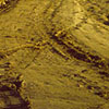 ranch detail