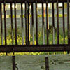 ranch detail