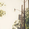 neighborhood street