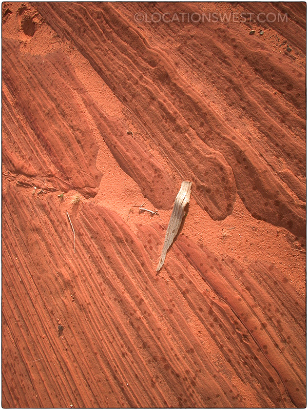 sandstone detail in Arizona