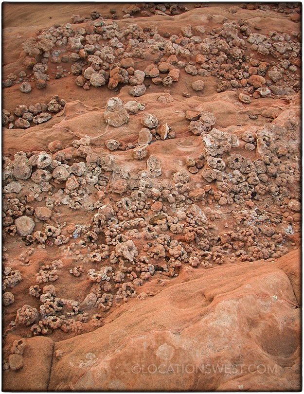 sandstone detail in Lake Powell area of Arizona