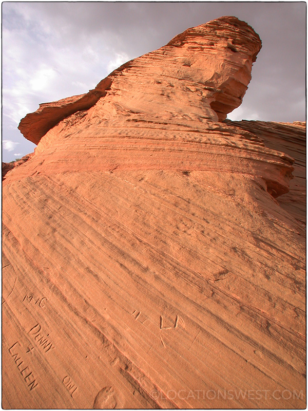 scarred sandstone detail