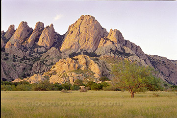 high desert landscape