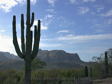 sonoran desert