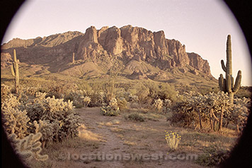 sonoran desert sunset