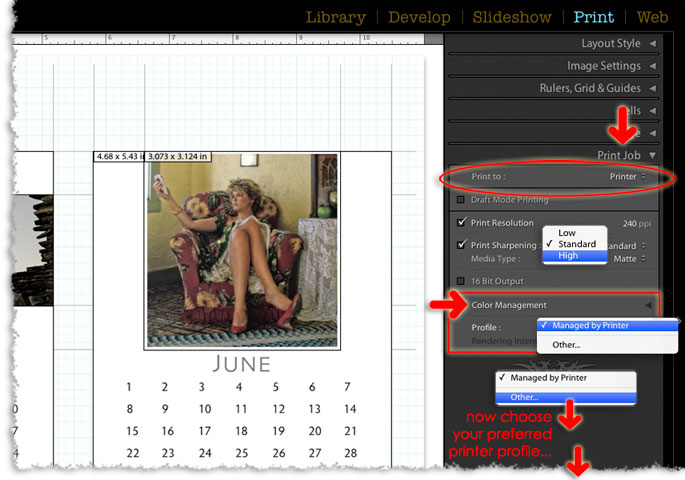 the print to printer option in the print job panel of lightrooms print module