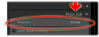 link to more information about selecting the print to printer option in the lightroom print module