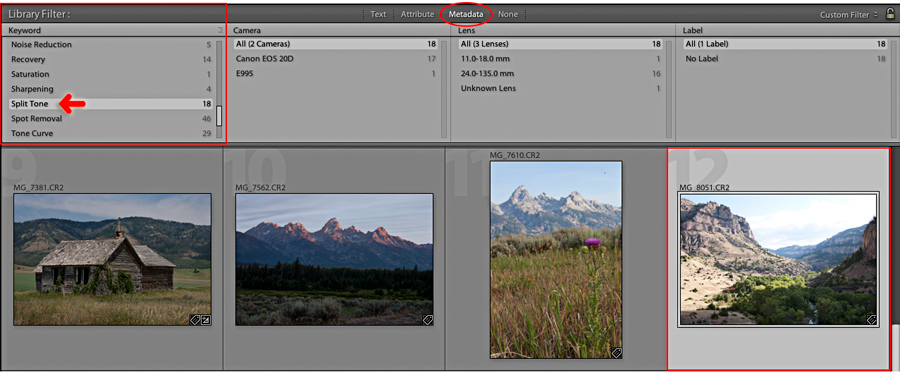 the library filter and a search for metadata