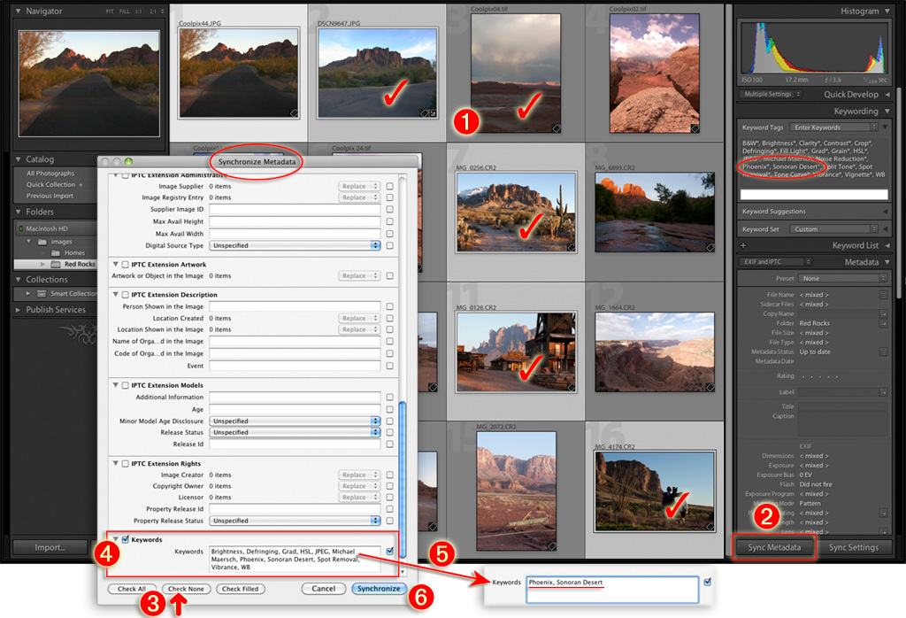 more on syncing metadata in the lightroom library