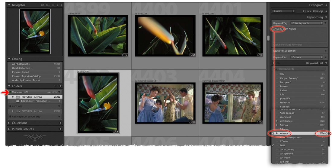 searching by way of the keword list