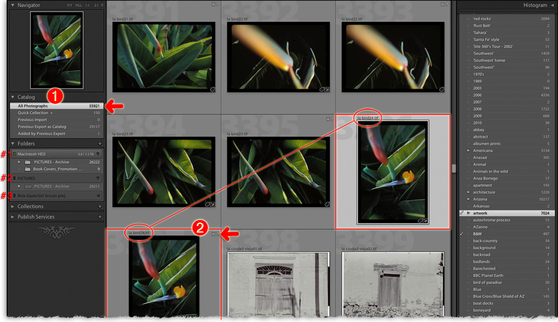 searching by way of the keword list