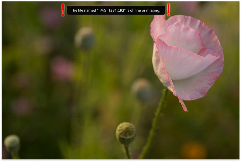 the file is offline or missing