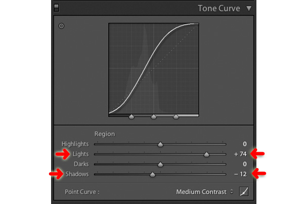 the tone curve panel in the develop module of lightroom