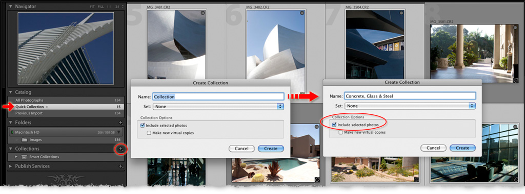 create a lightroom collection including the selected photos