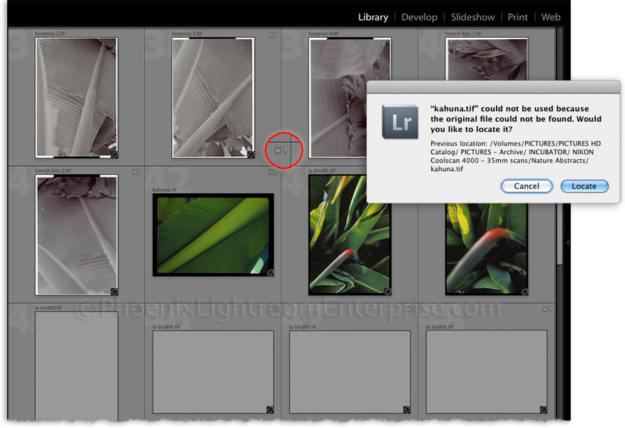 the dreaded lightroom question mark