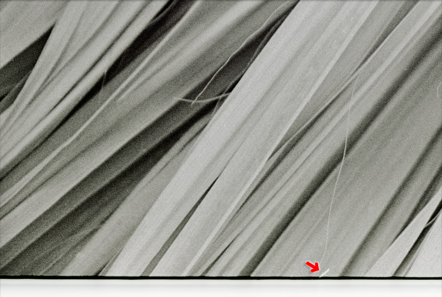 spot healing in lightroom with before and after views