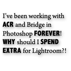 camera raw and bridge are not as good as lightroom on its own