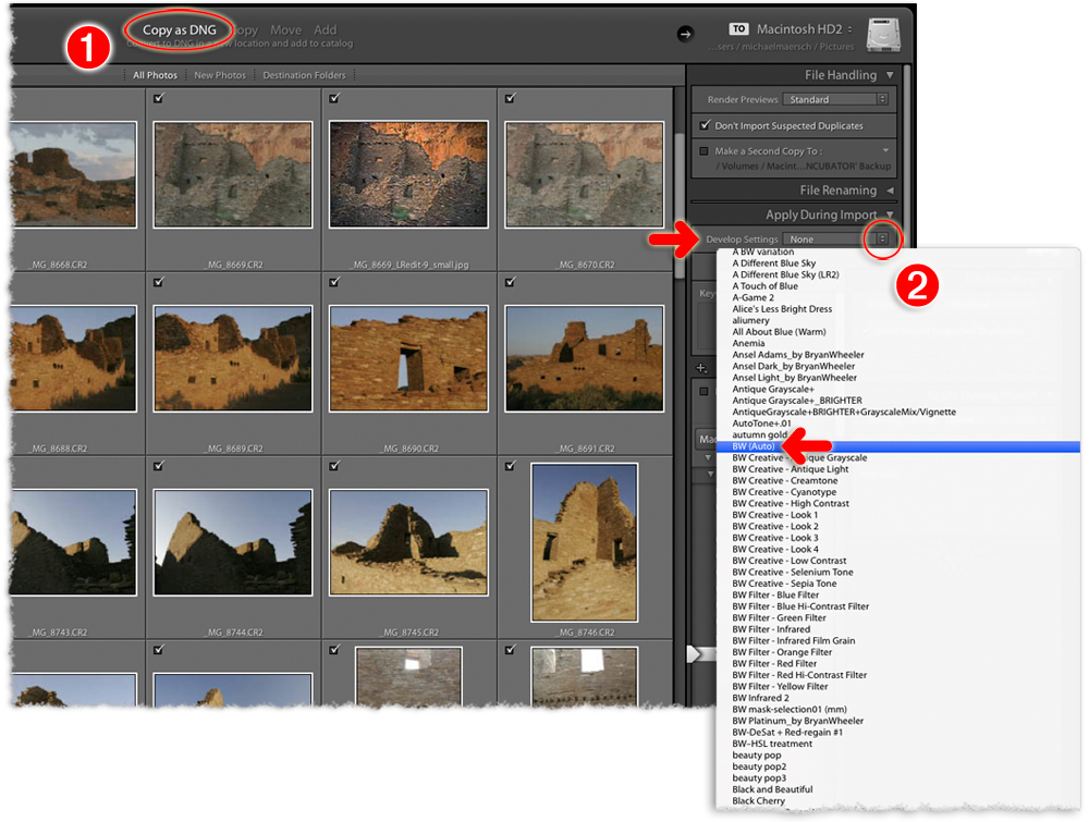 select the black and white conversion preset from within the lightroom import dialog