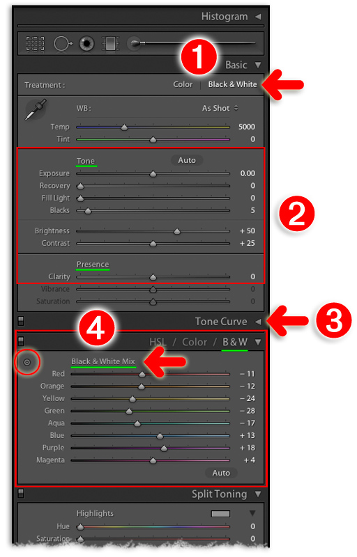use the develop module settings to tweak your black and white file conversions