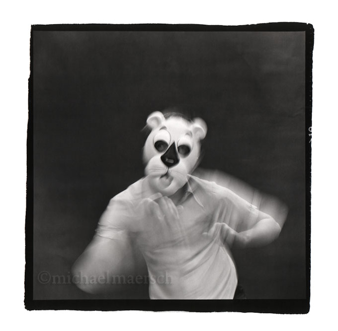 white crane spreads wings by michael maersch