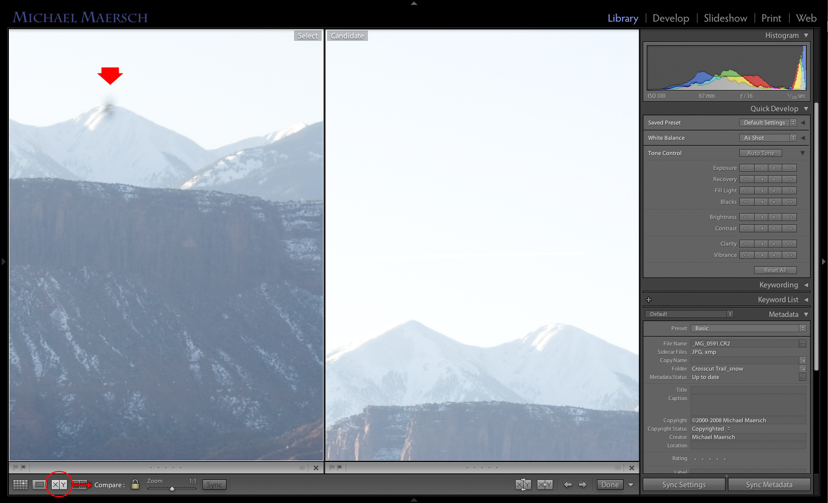 the library modules compare view screen