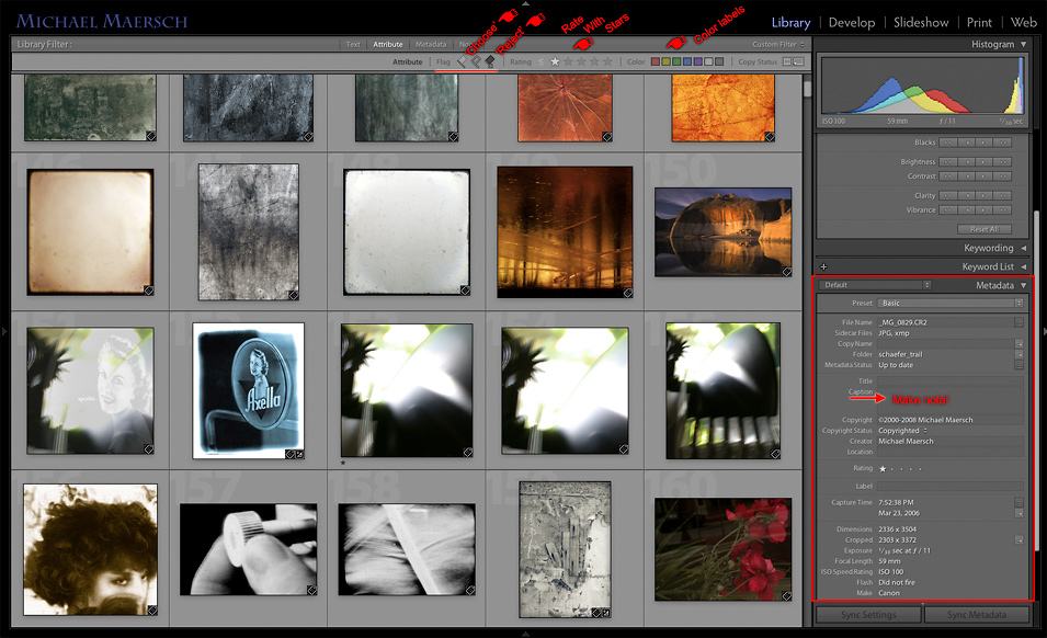 the library module with medium size thumbnails