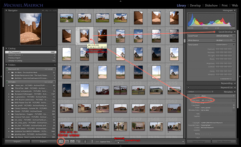 the library with small thumbnails
